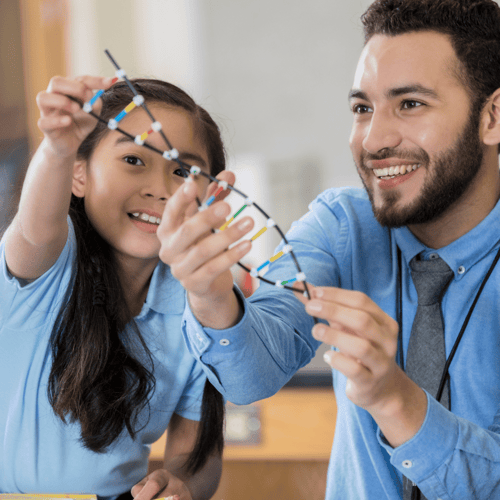Cert 3 Education Support